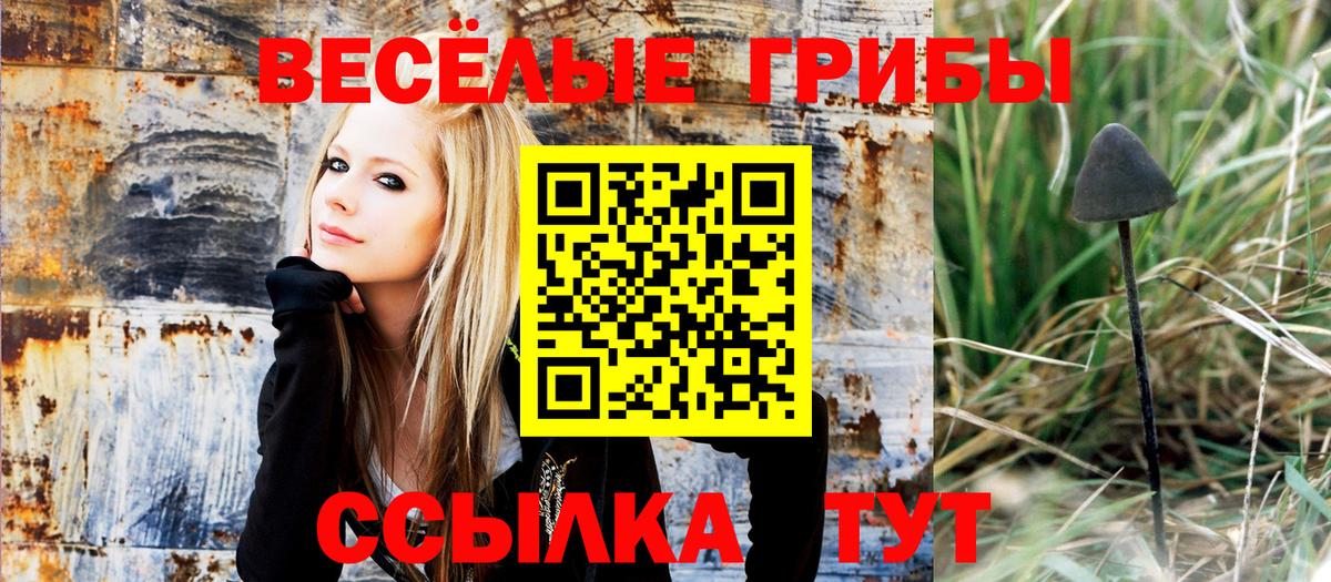 Галлюциногенные грибы мухоморы  Вход с VPN  Серпухов 
